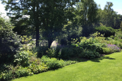 Beth Chatto's garden